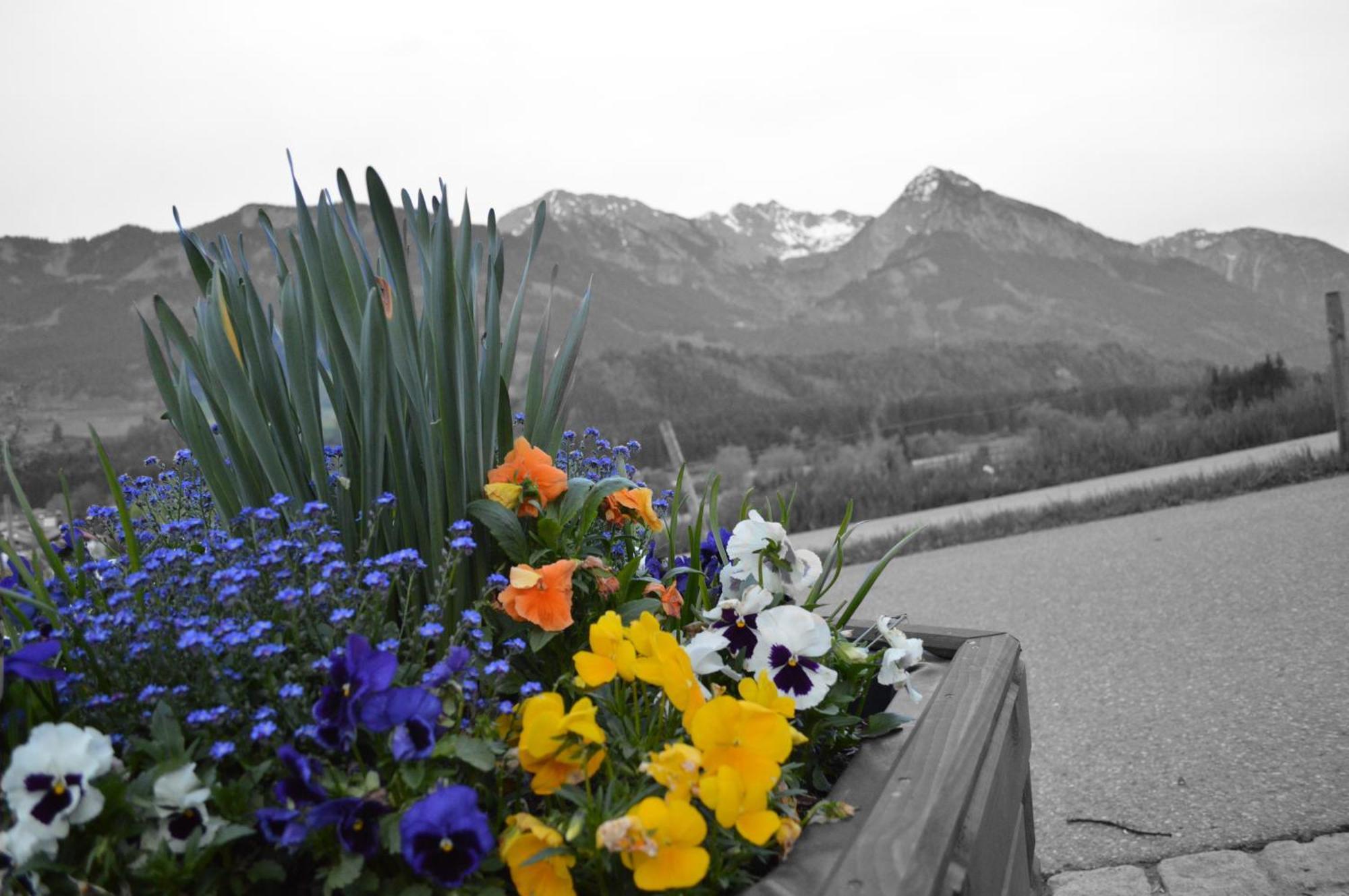 Hotel Alpenblick Fischen im Allgaeu Exterior photo