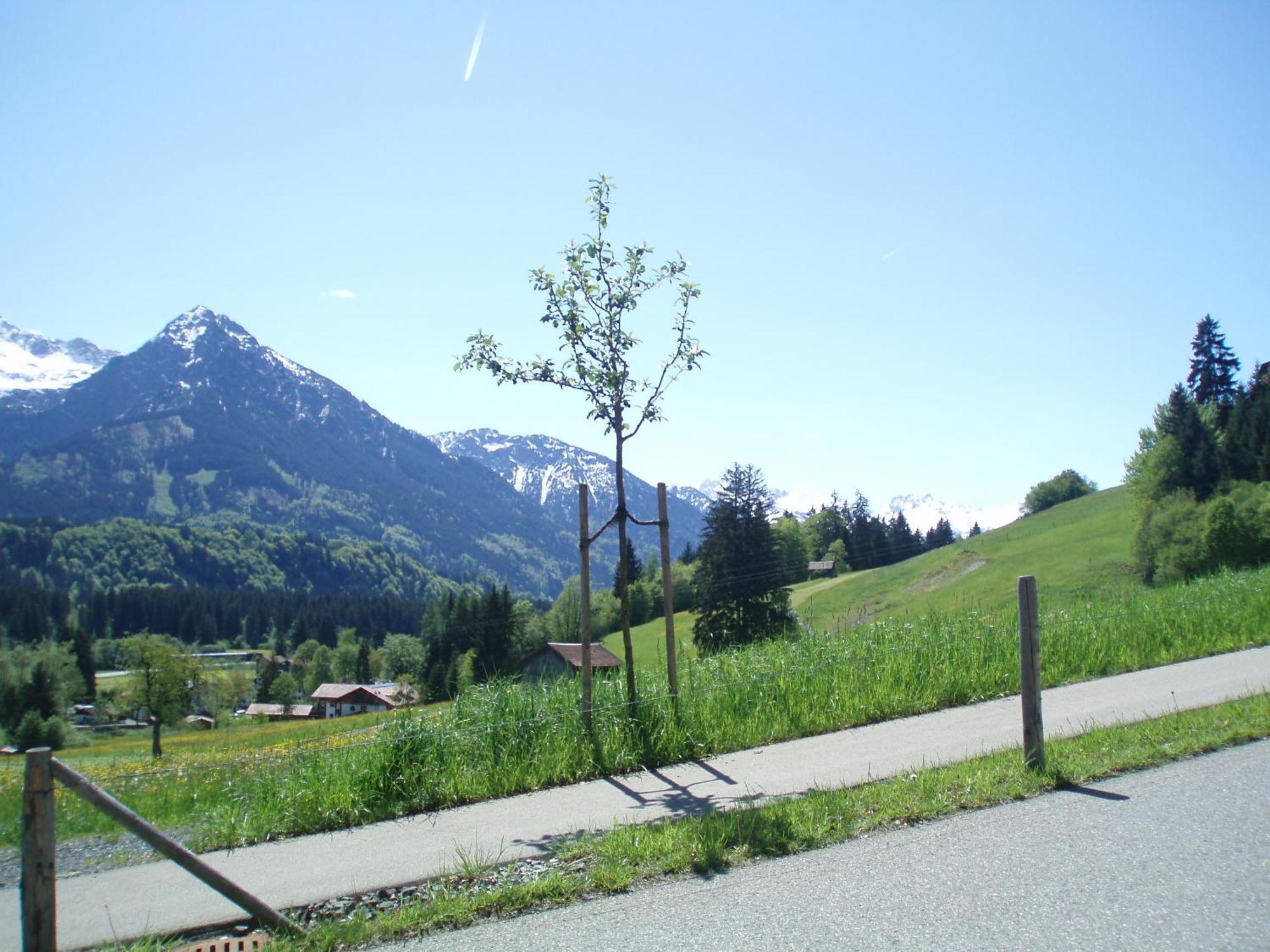 Hotel Alpenblick Fischen im Allgaeu Exterior photo