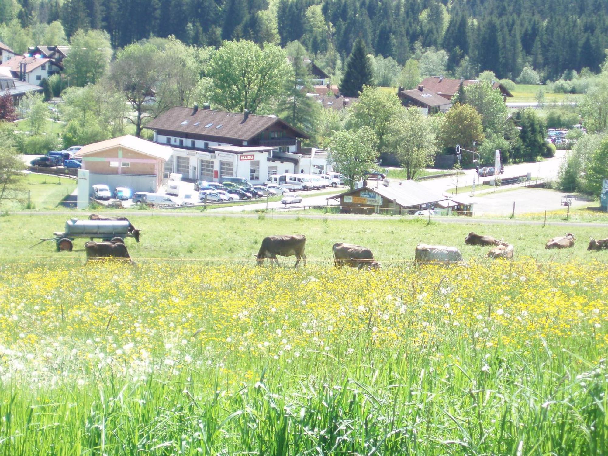 Hotel Alpenblick Fischen im Allgaeu Exterior photo